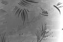 Steklo listovoe uzorchatoe SALE bescvetnoe matirovannoe (2)